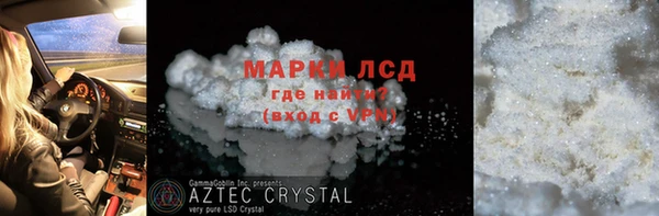 молекула духа Новозыбков