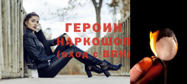 молекула духа Новозыбков