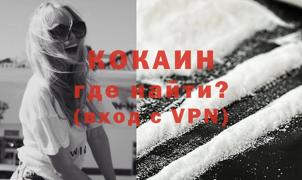 молекула духа Новозыбков