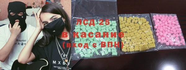 молекула духа Новозыбков