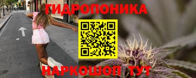 стаф Гусев