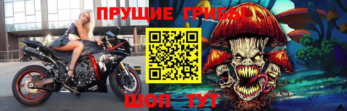 Галлюциногенные грибы MAGIC MUSHROOMS Омск